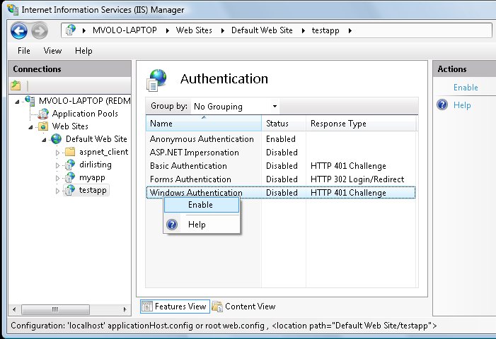 Enable Windows Authentication for the ASP.NET application